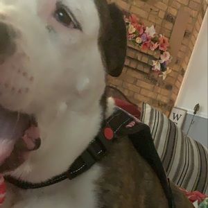 Meet your Posher, Eloise